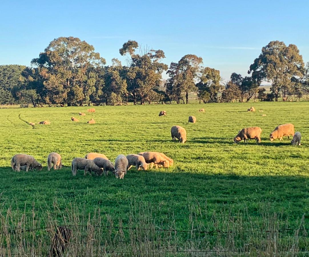 The Lancefield Lodge Lance Field Luaran gambar